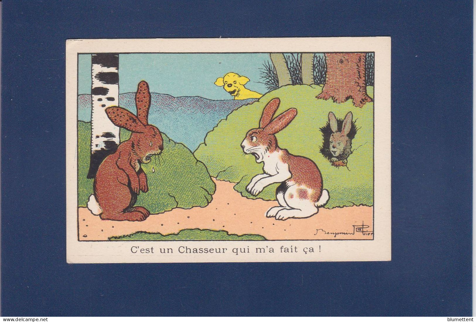 Chromo Image RABIER Benjamin Animaux 7 X 10,5 Publicité Au Dos Blédine - Rabier, B.