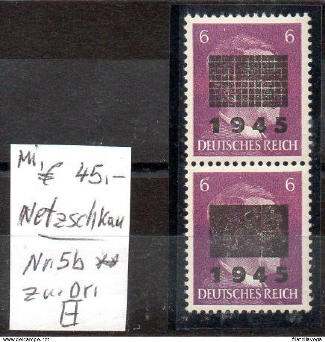 Alemania Sellos Locales ( Lokalausgaben Ab 1945 -Netzschkau-Reichenbach) Nº Michel 5b ** - Mint