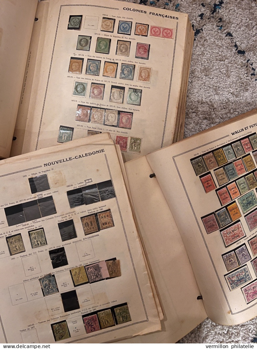 Lot 224 - GROSSE Collection 3 Albums COLONIES FRANCAISES Cote + 36000 Euros - Collections