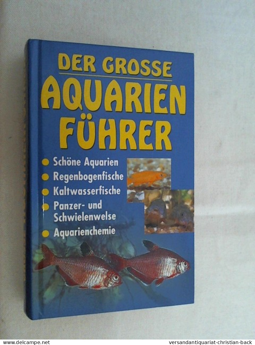 Der Große Aquarienführer : Schöne Aquarien, Regenbogenfische, Kaltwasserfische, Panzer- Und Schwielenwelse, - Other & Unclassified