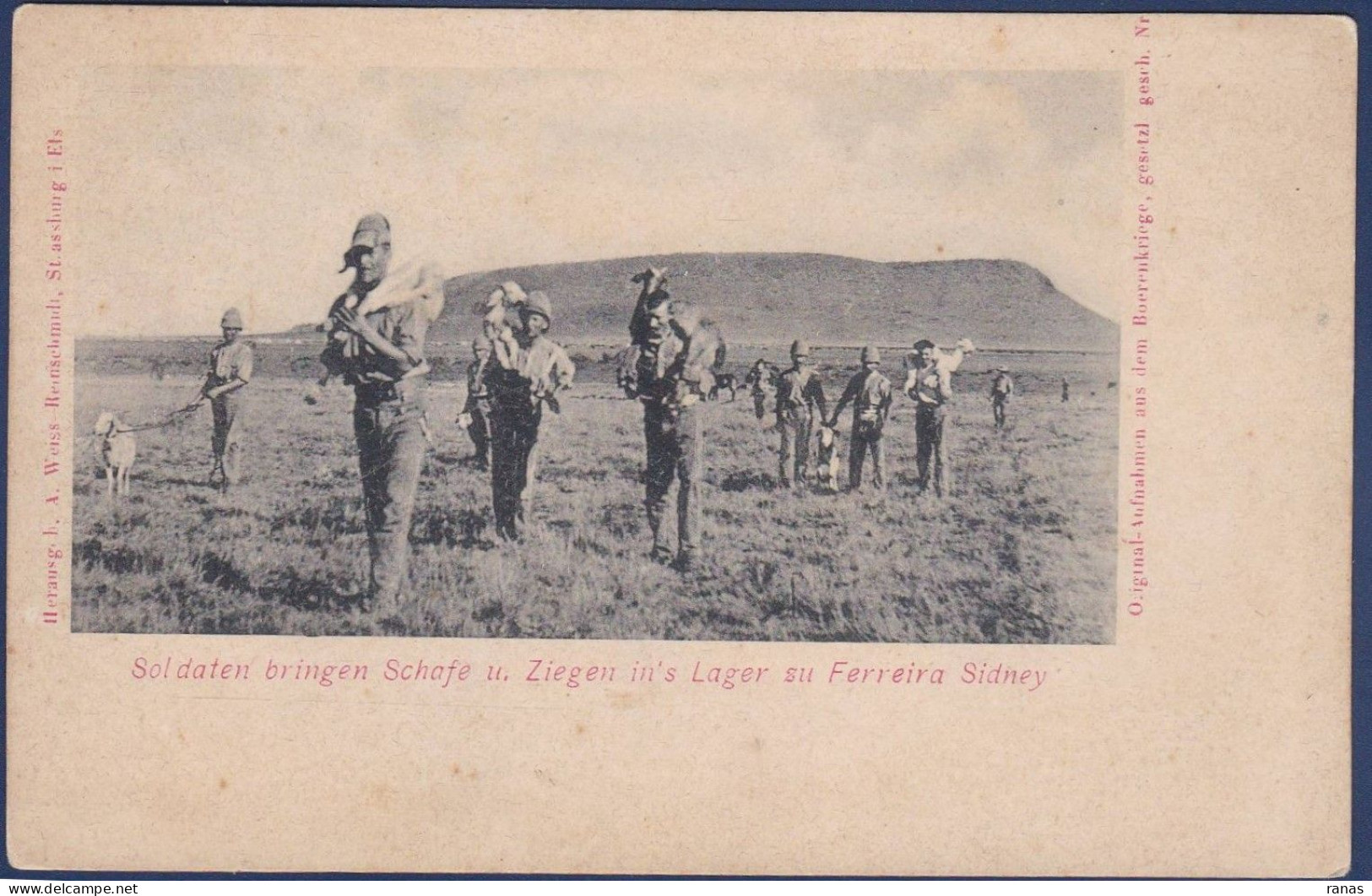 CPA Afrique Du Sud Transvaal Guerre War Des Boers Angleterre Non Circulé - South Africa