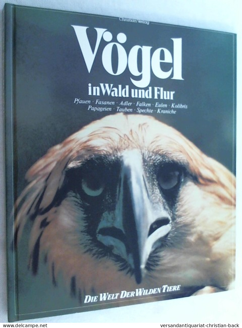 Vögel In Wald Und Flur - Animals