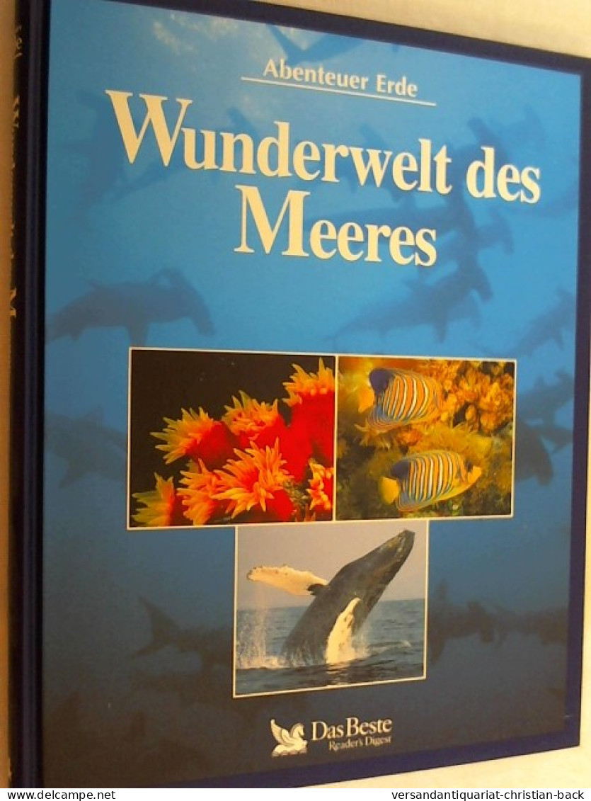 Wunderwelt Des Meeres - Dieren