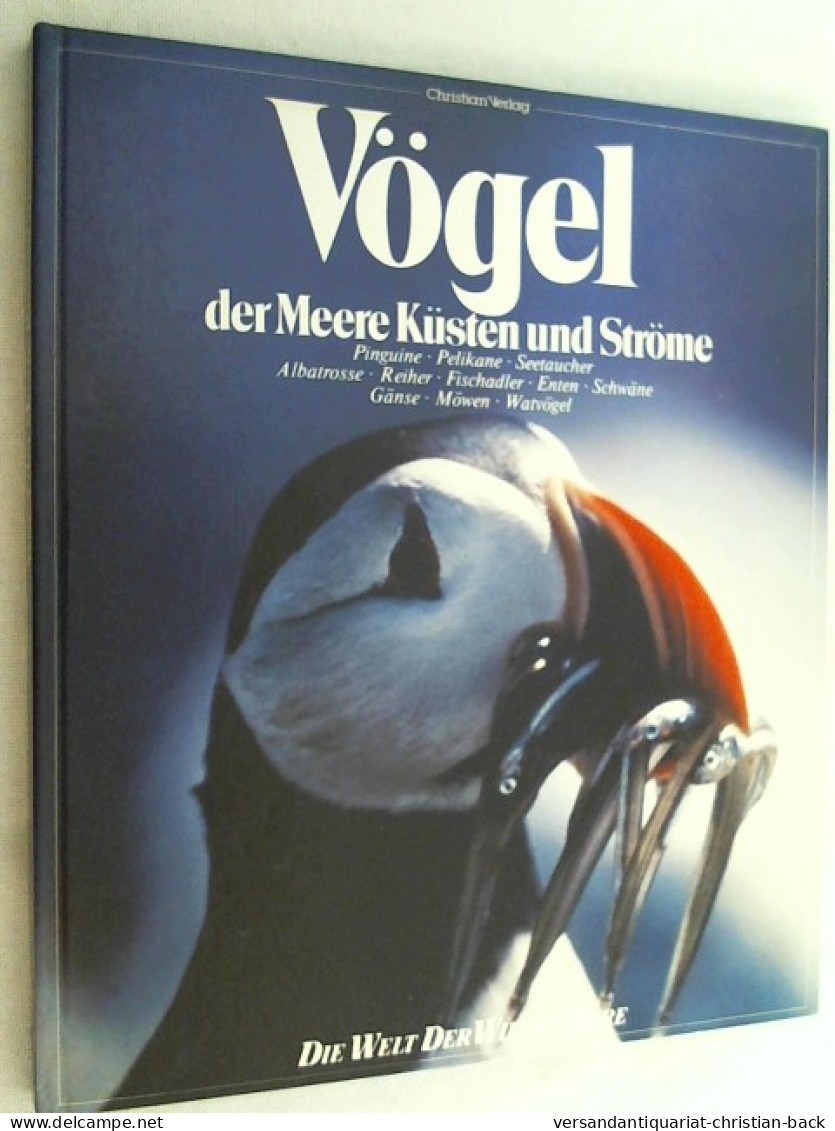 Vögel Der Meere, Küsten Und Ströme. - Animaux