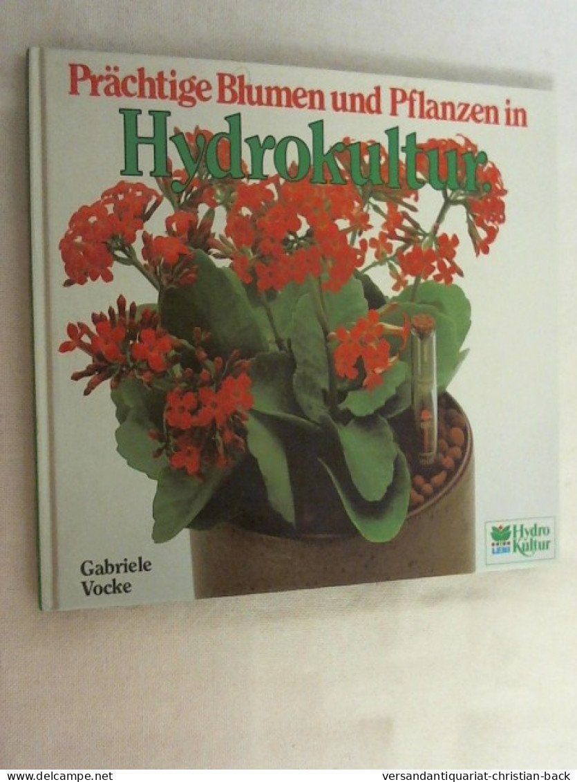 Prächtige Blumen Und Pflanzen In Hydrokultur. - Botanik