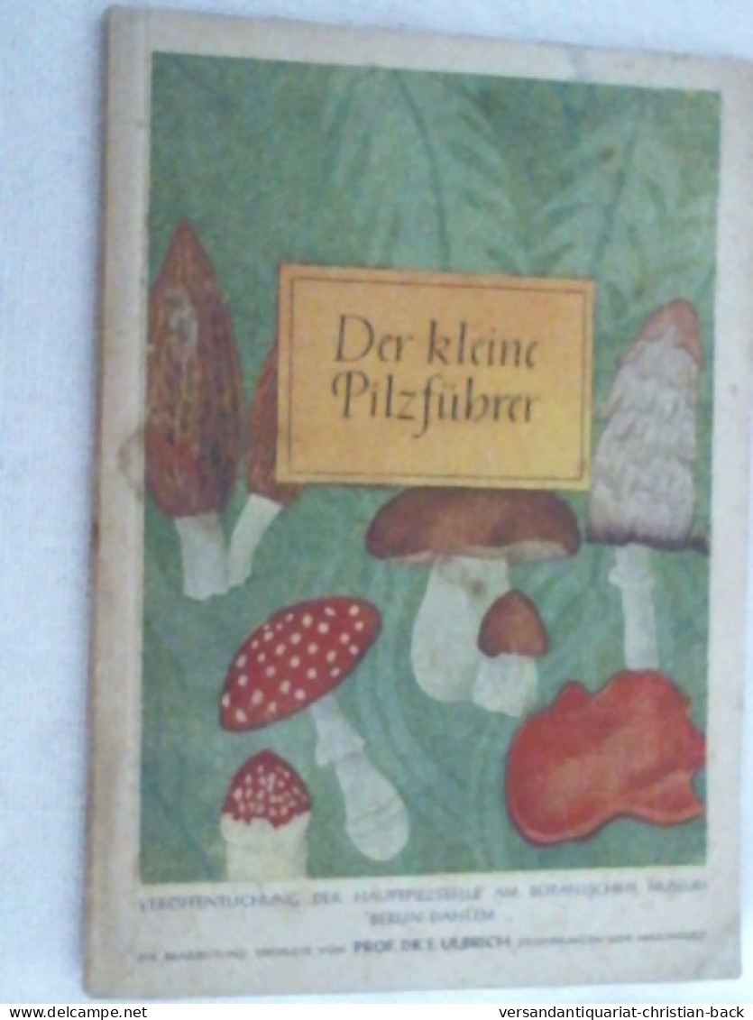 Der Kleine Pilzführer. - Botanik
