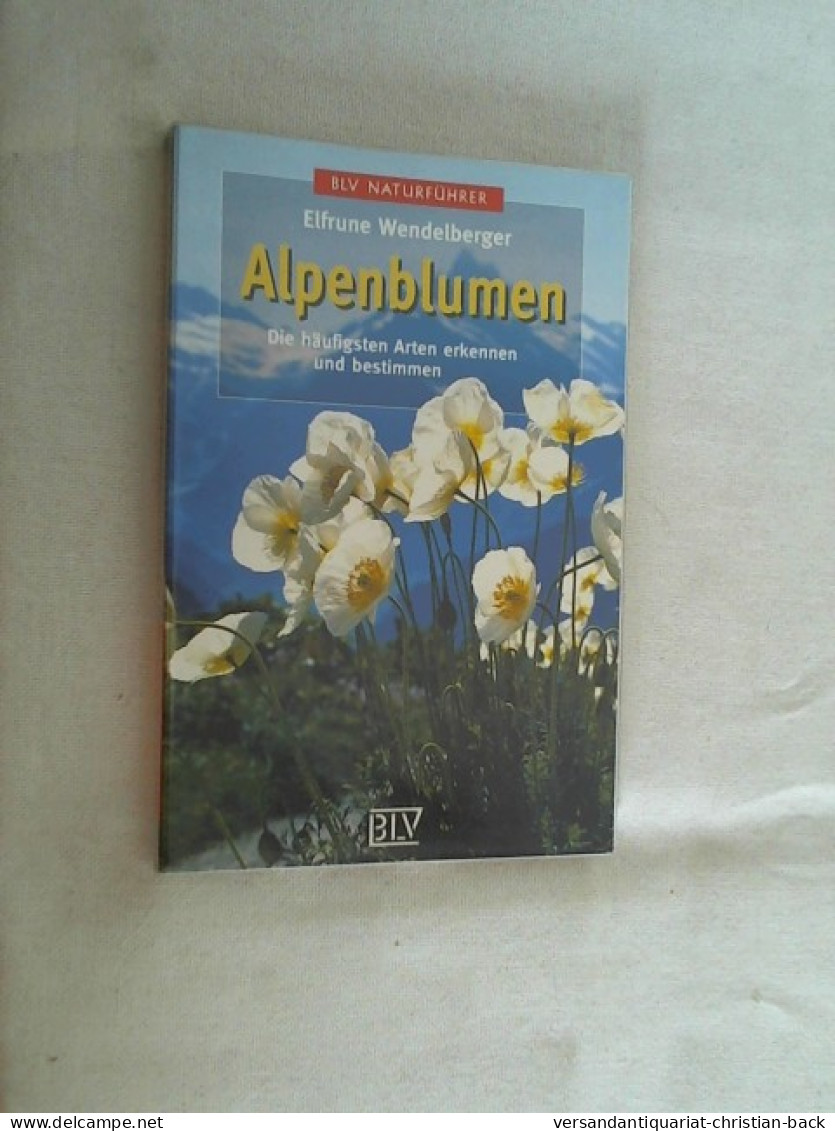 Alpenblumen : Die Häufigsten Arten Erkennen Und Bestimmen. - Natuur