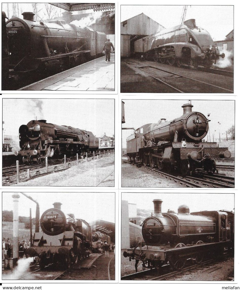 BD37 - SERIE COMPLETE 10 CARTES  ROBERT WILSON - BRITISH STEAM LOCOMOTIVES  - FORMAT 6 X 8 CM - Spoorweg