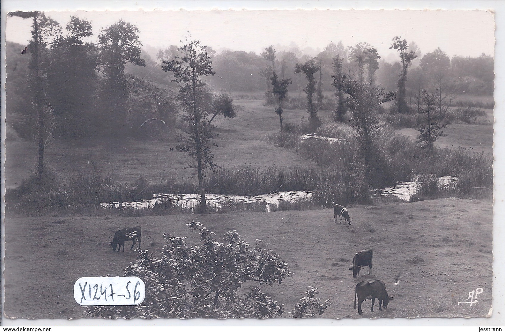 MUZILLAC- LA RIVIERE SAINT-ELOI - Muzillac