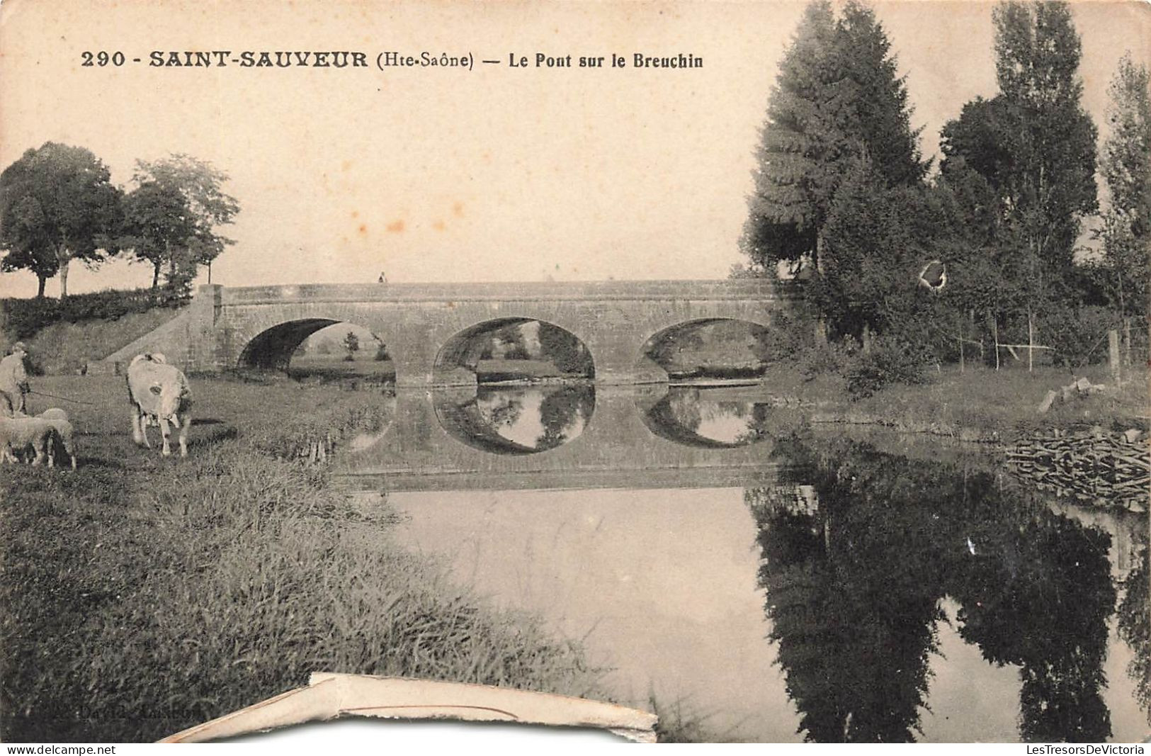 FRANCE - Saint-Sauveur - Le Pont Sur Le Breuchin - Carte Postale Ancienne - Saint-Sauveur