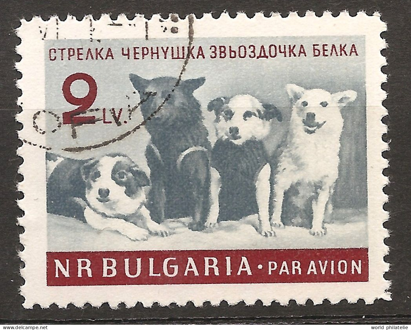 Bulgarie Bulgaria 1961 N° PA 81 O Espace, URSS, CCCP, Chiens, Chien, Strelka Belka Tchernouchka, Science Expérimentation - Used Stamps