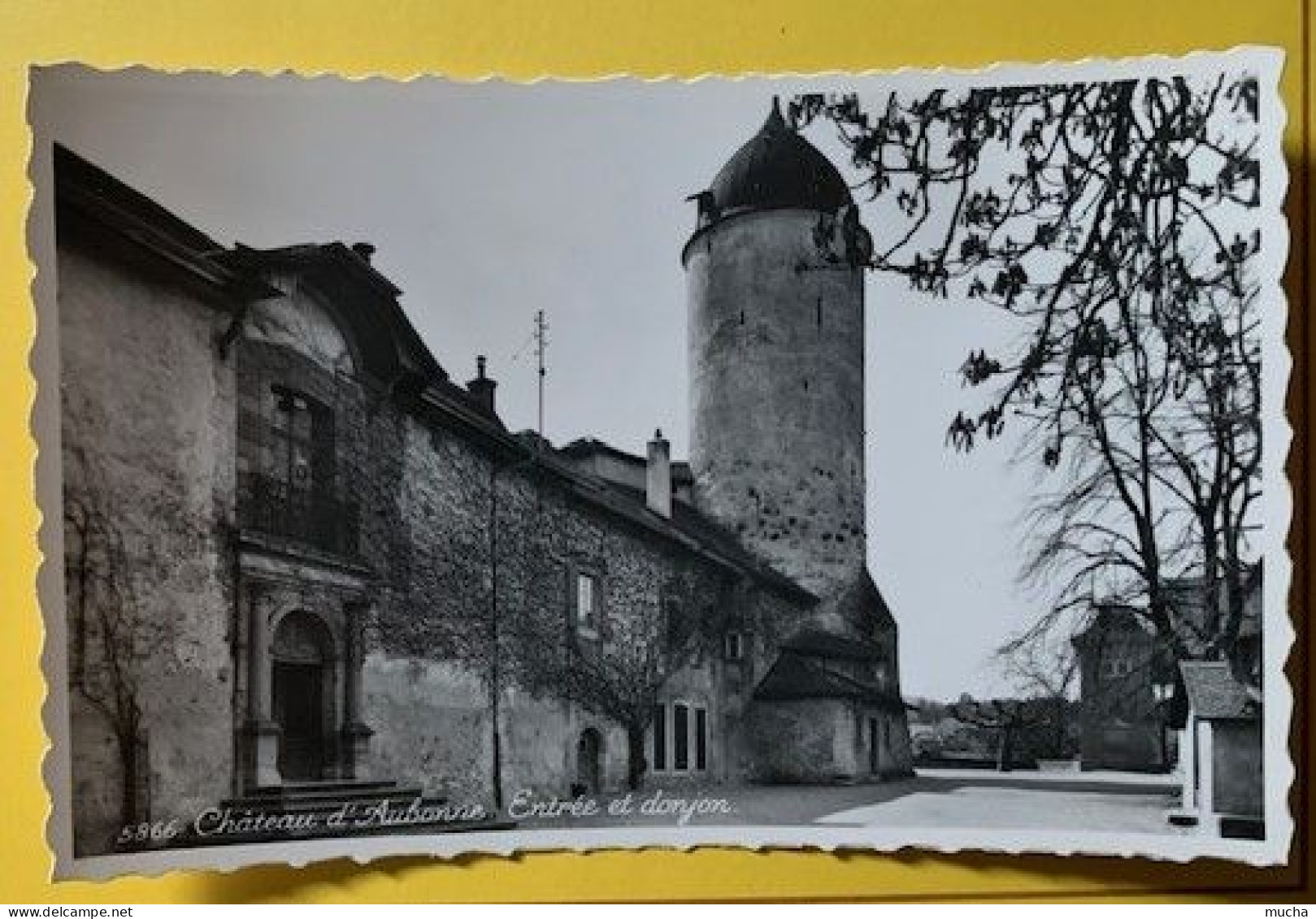 19914 -  Château D'Aubonne Entrée Et Donjon - Aubonne