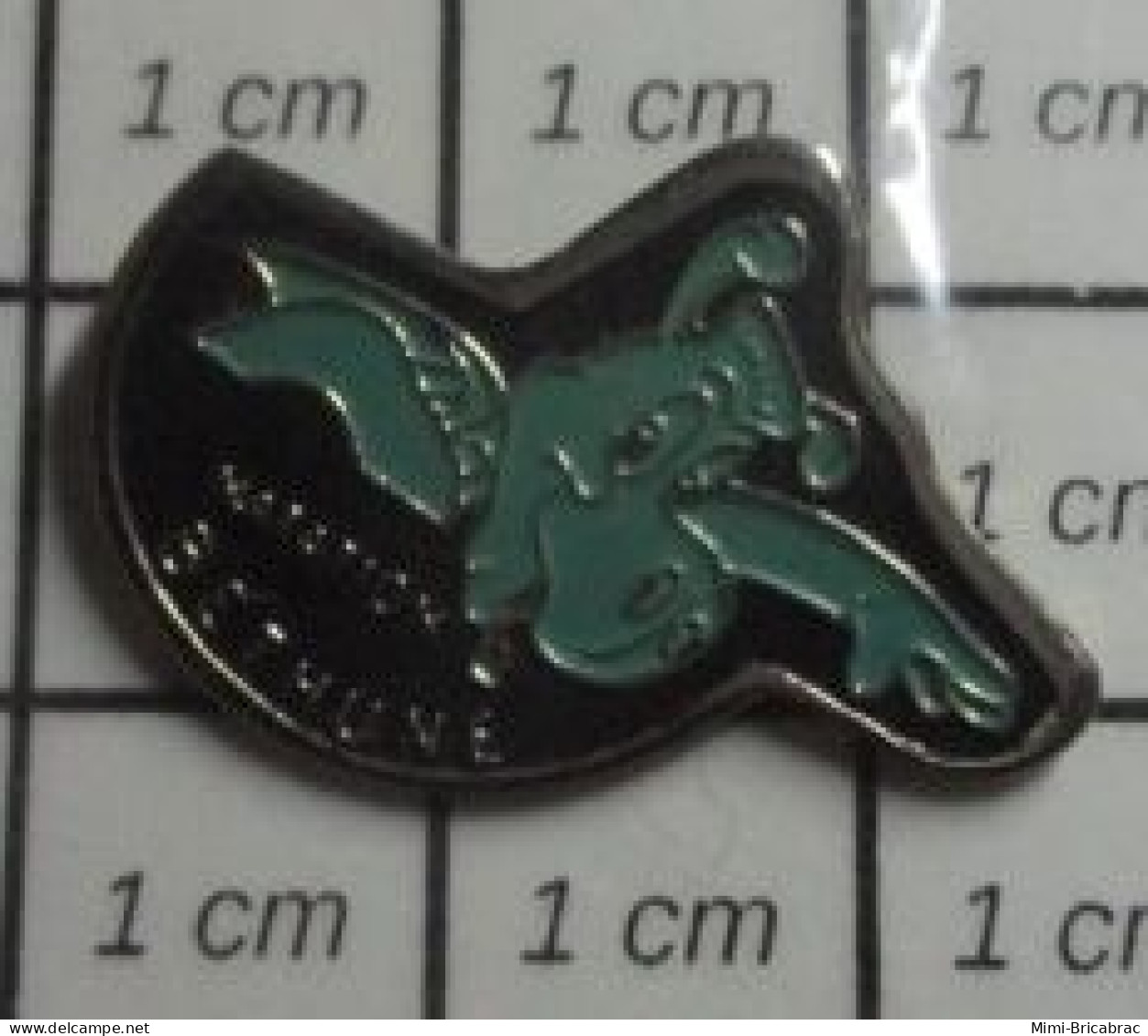 619 Pin's Pins / Beau Et Rare / SPORTS / NATATION CLUB BETHUNE NAGEUR - Swimming