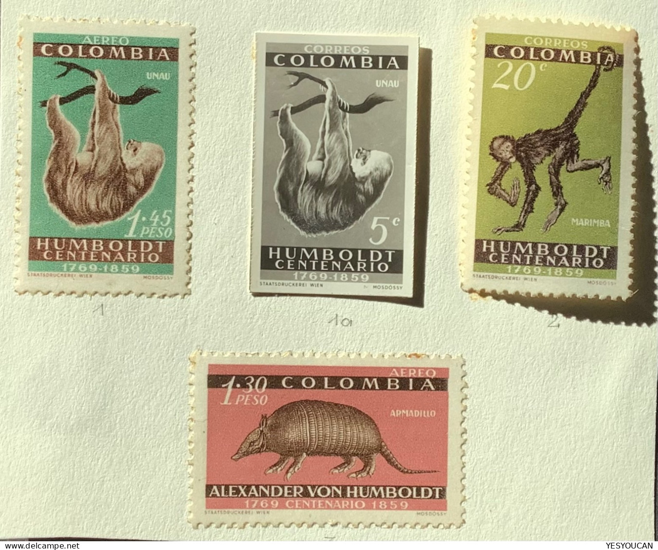 RRR ! UNISSUED1960 1,45 P Sloth/paresseux Alexander Von Humbold Colombia Correo Aero Essay(mammels Armadillo Monkey - Colombia