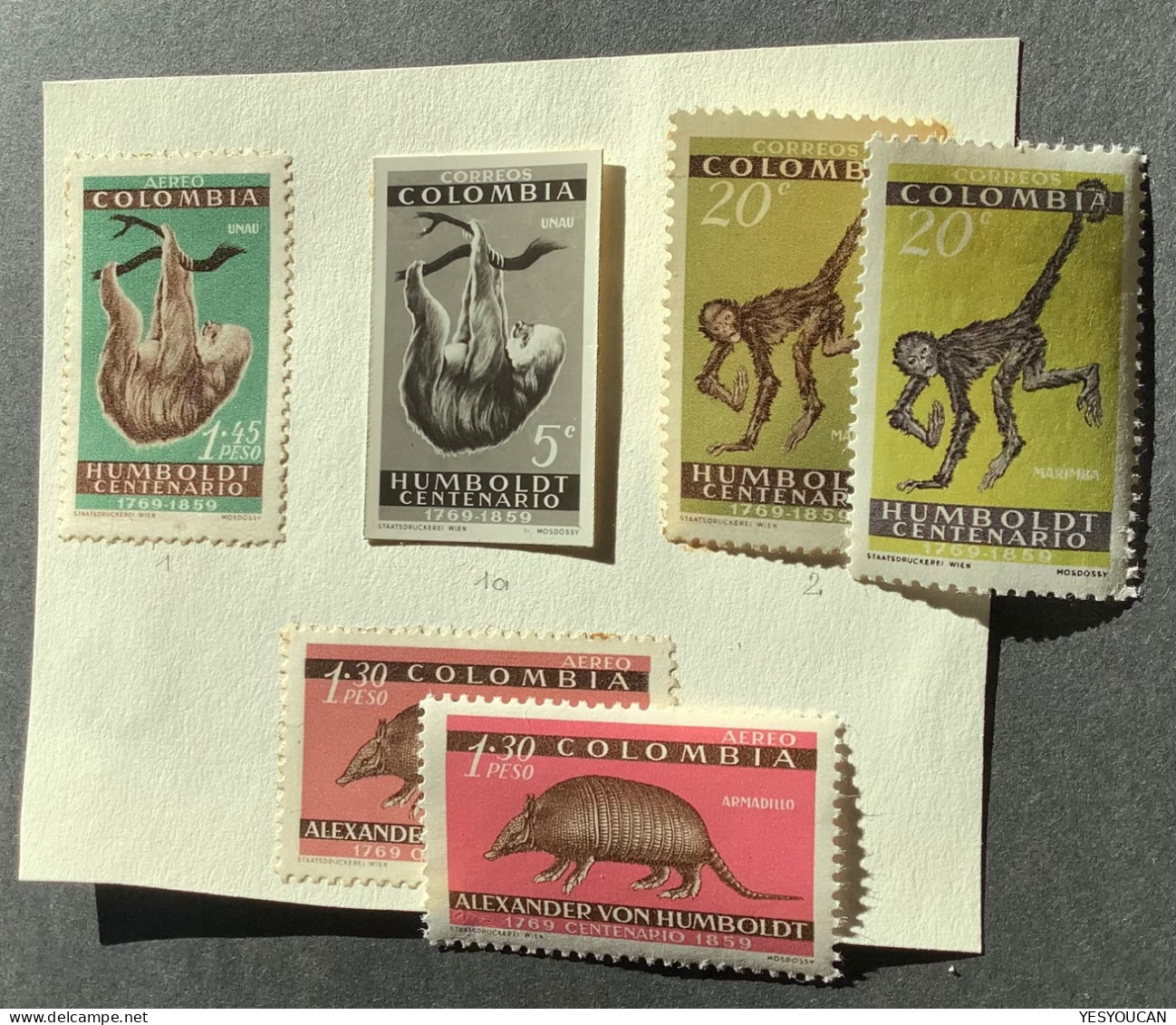 RRR ! UNISSUED1960 1,45 P Sloth/paresseux Alexander Von Humbold Colombia Correo Aero Essay(mammels Armadillo Monkey - Colombia