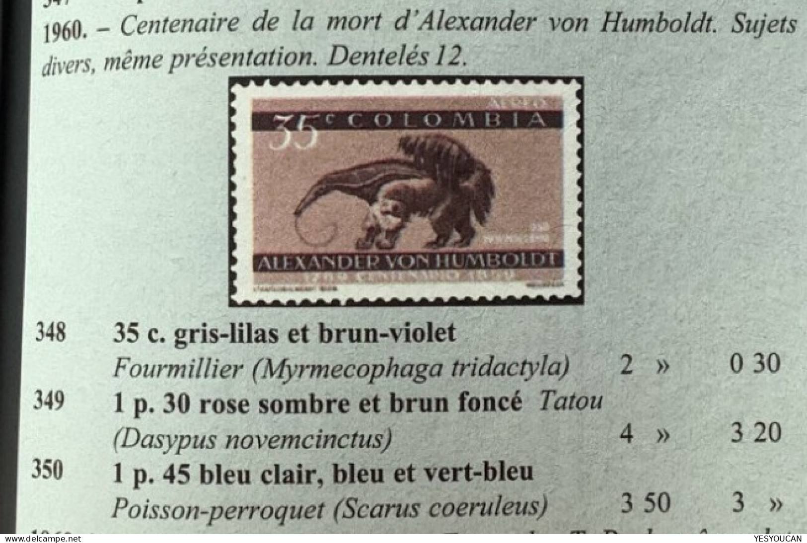 RRR ! UNISSUED1960 1,45 P Sloth/paresseux Alexander Von Humbold Colombia Correo Aero Essay(mammels Armadillo Monkey - Colombie