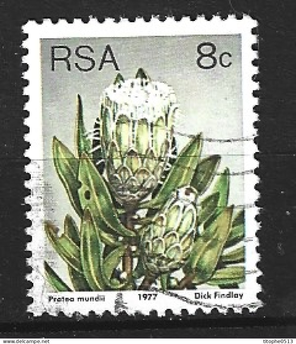 AFRIQUE DU SUD. N°423 Oblitéré De 1977. Plante Grasse. - Sukkulenten