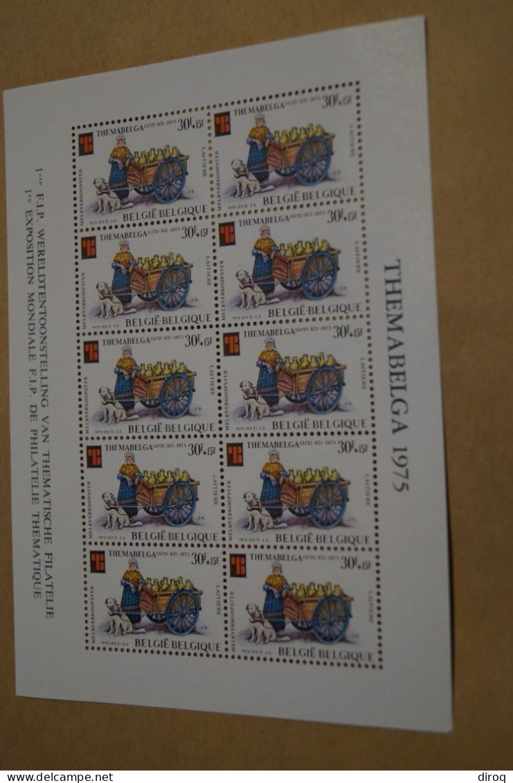 Thémabelga,superbe Série De Feuillet à L'état Strictement Neuf,1975,6 Blocs De 10 Timbres - Unused Stamps