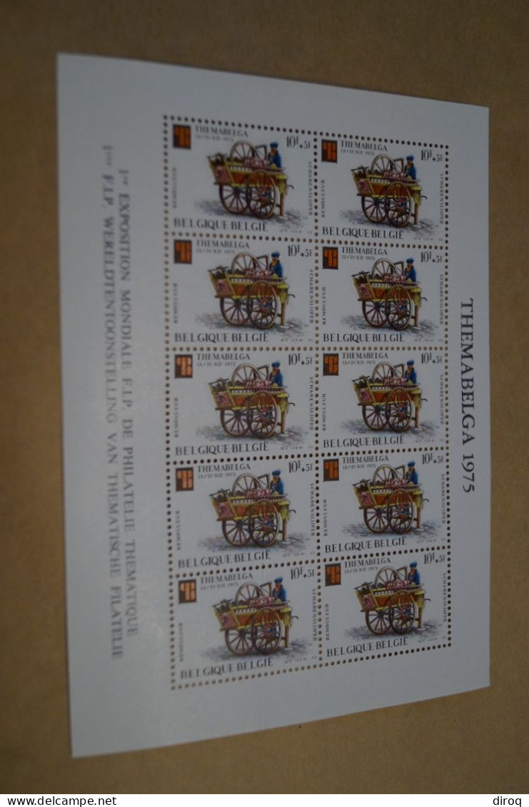 Thémabelga,superbe Série De Feuillet à L'état Strictement Neuf,1975,6 Blocs De 10 Timbres - Unused Stamps