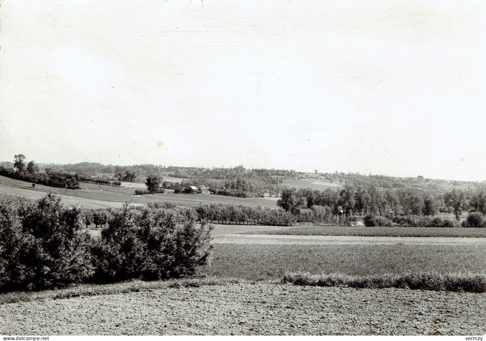 NEDERBRAKEL : Poort Der Vlaamse Ardennen - Photo Véritable - Brakel