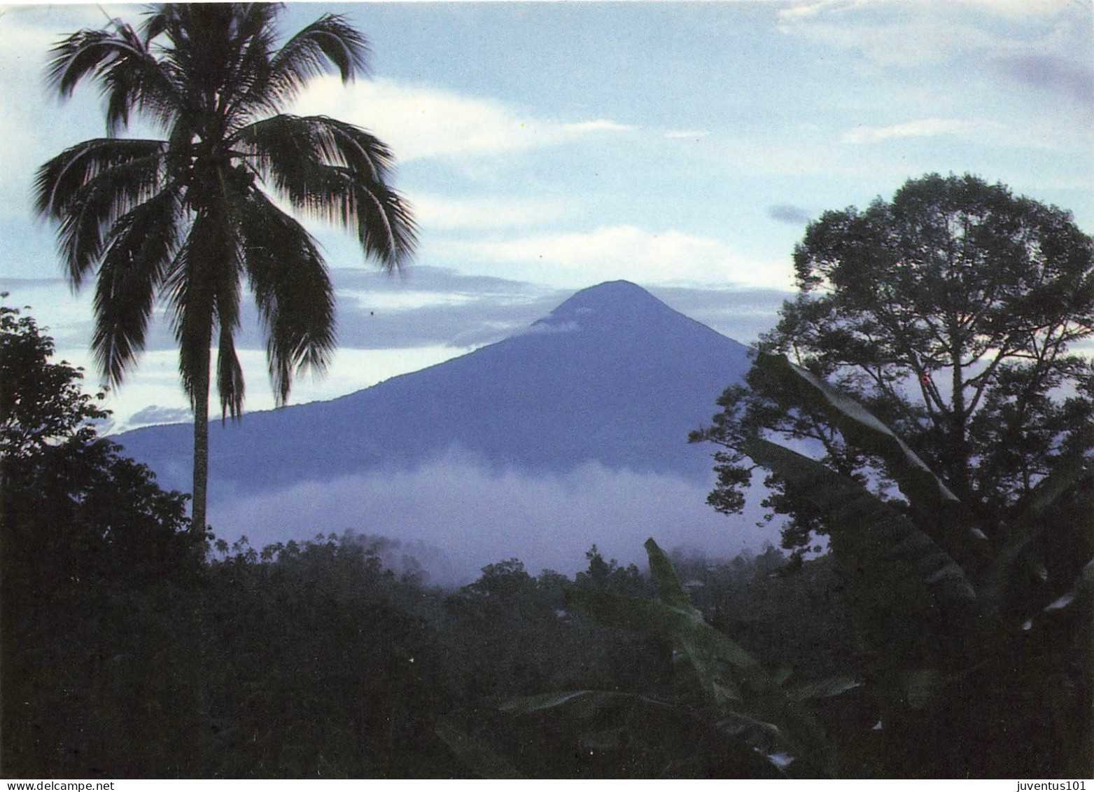 CPSM Format Special-North Sulawesi-Beau Timbre     L2574 - Indonésie