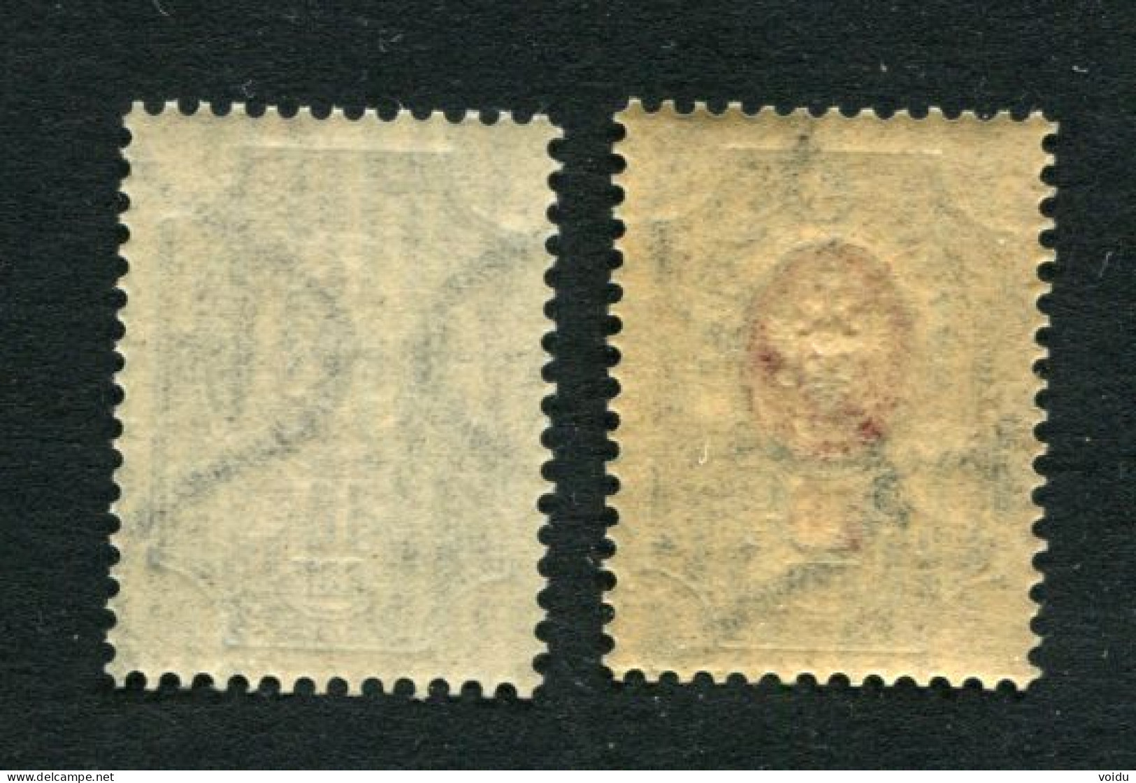 Russia 1889. Mi 41-42y MNH ** Vertically Laid Paper (1904) - Unused Stamps