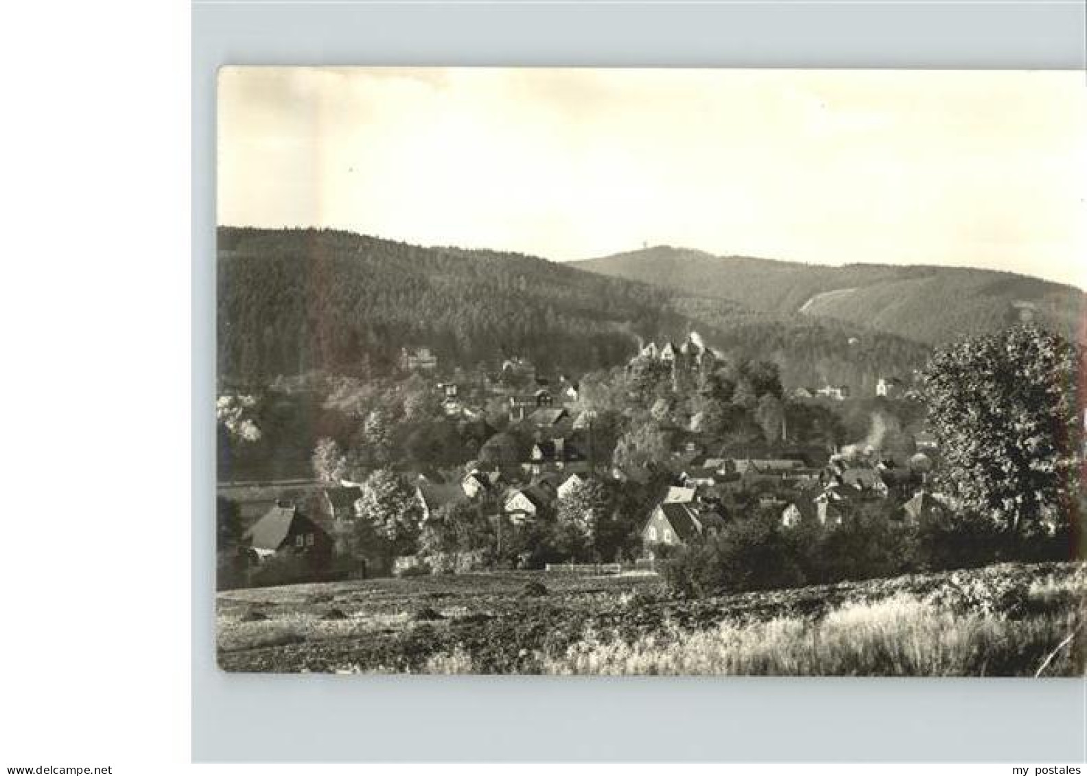 41358483 Elgersburg Blick Vom Hohenberg Zur Hohen Warte Elgersburg - Elgersburg