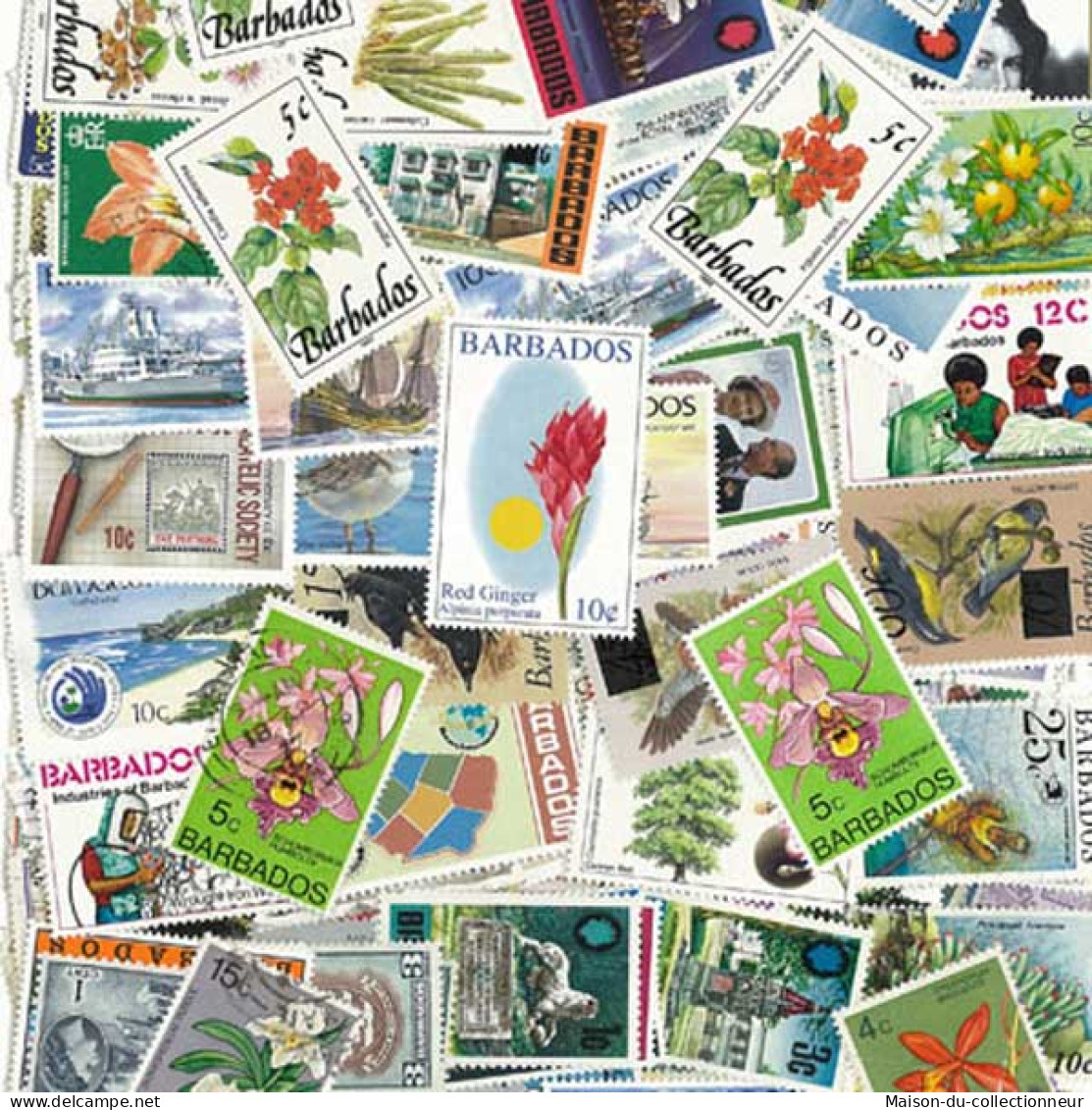 Collection De Timbres Barbade Oblitérés 50 Timbres Différents - Barbados (1966-...)