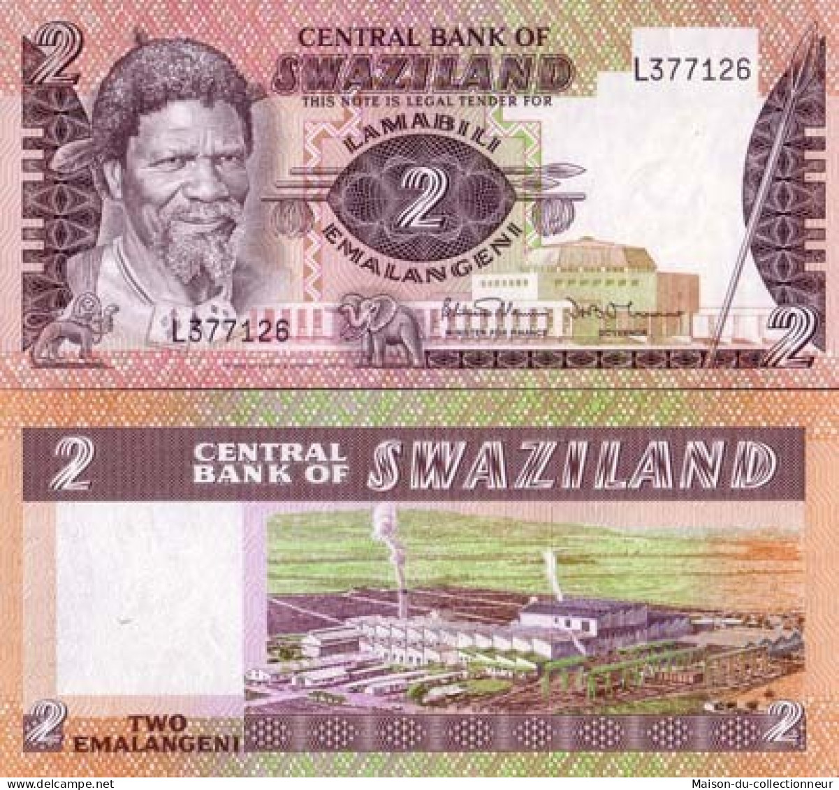 Billets Banque Swaziland Pk N°  8 - 2 Lilangeni - Swaziland