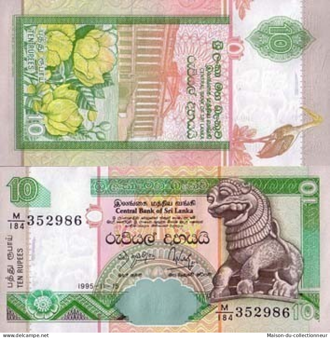 Billets De Banque Sri Lanka Pk N° 108 - 10 Rupees - Sri Lanka