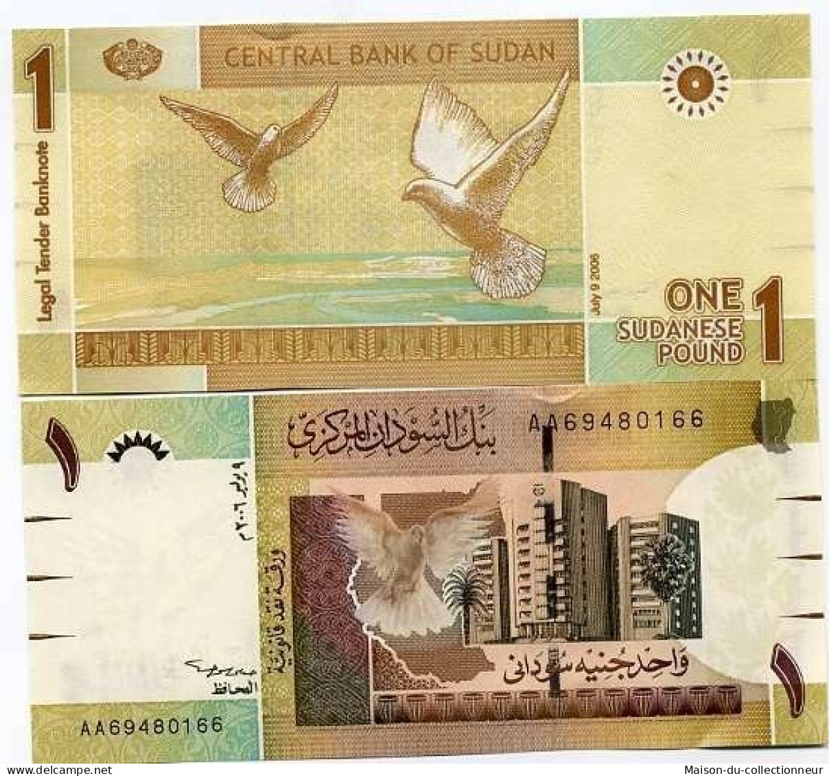 Billets Banque Soudan Pk N° 64 - 1 Pound - Sudan