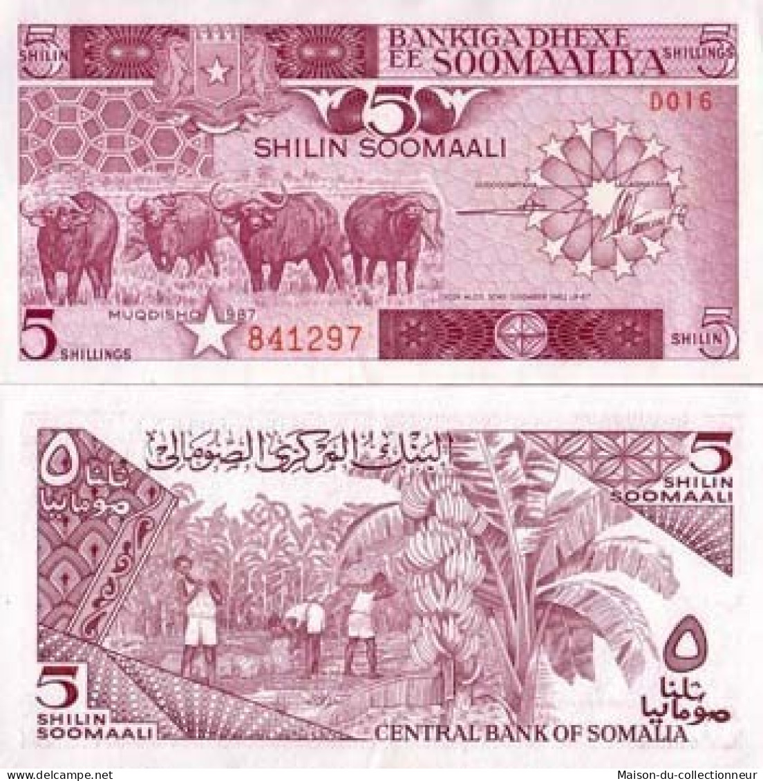 Billet De Collection Somalie Pk N° 31 - 5 Shillings - Somalië