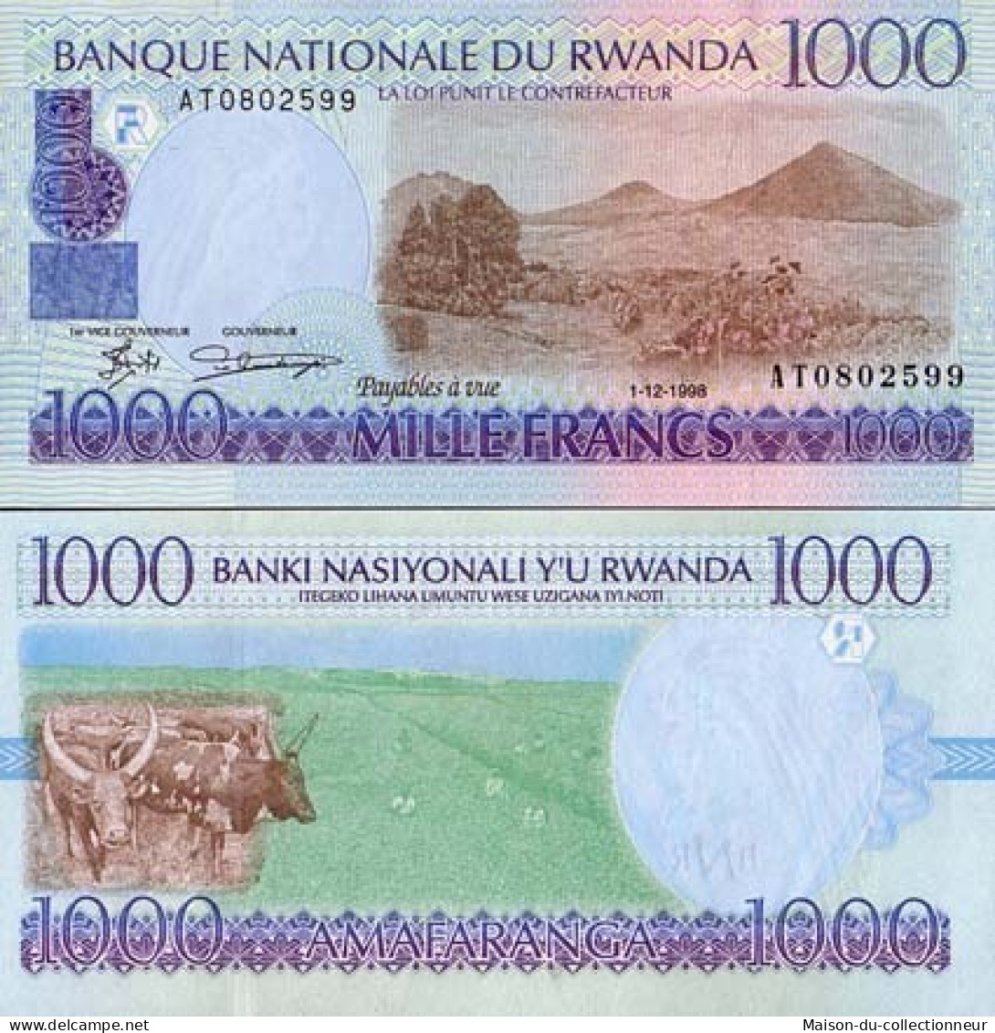 Billets De Banque Rwanda Pk N° 27 - 1000 Francs - Ruanda