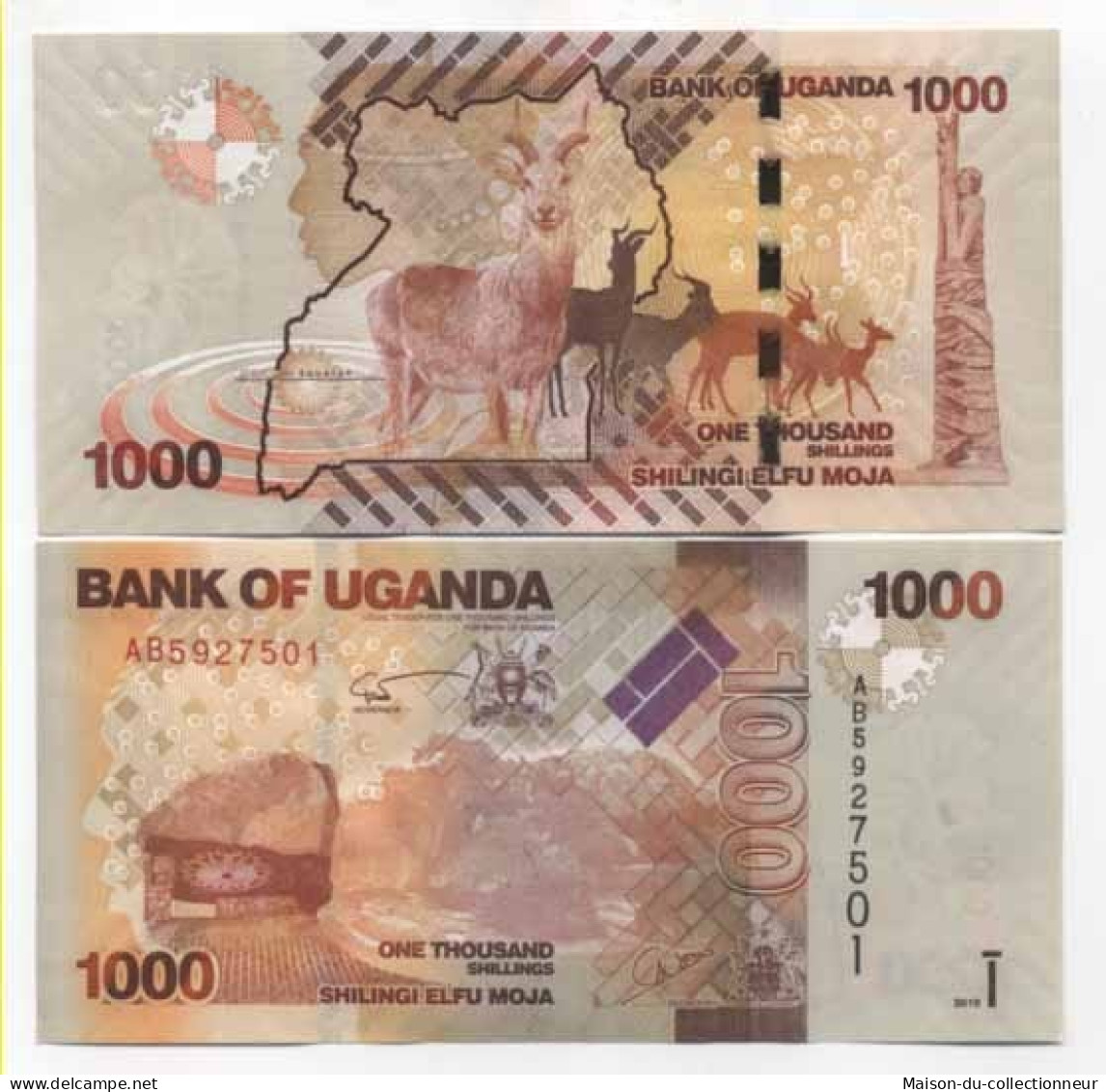 Billet De Banque Ouganda Pk N° 49 - 1000 Shilling - Ouganda