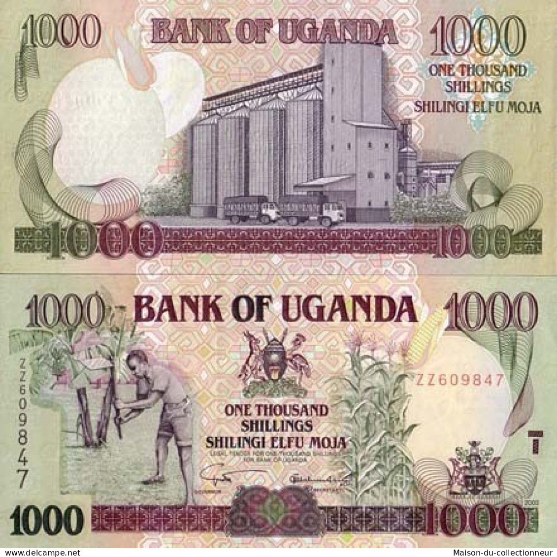 Billets Collection Ouganda Pk N° 36 - 1000 Shillings - Uganda