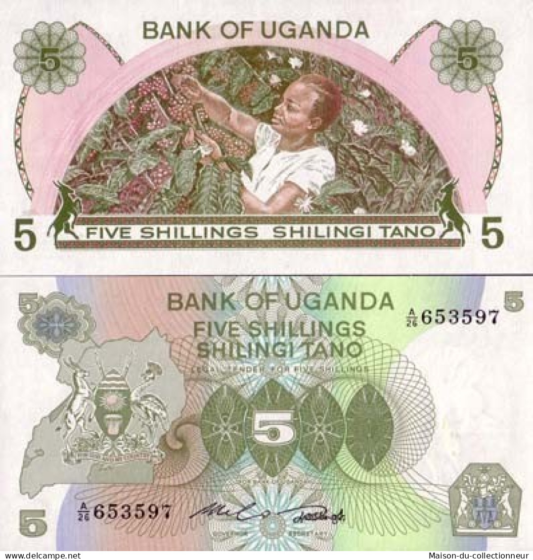 Billets Collection Ouganda Pk N° 15 - 5 Shilling - Ouganda