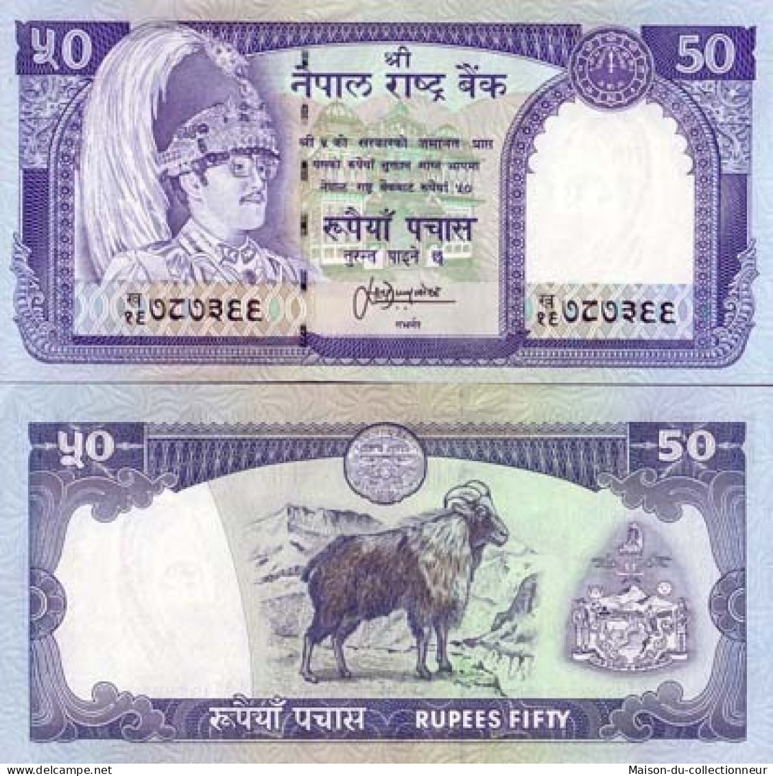 Billets Banque NEPAL Pk N° 33 - 50 Rupees - Népal