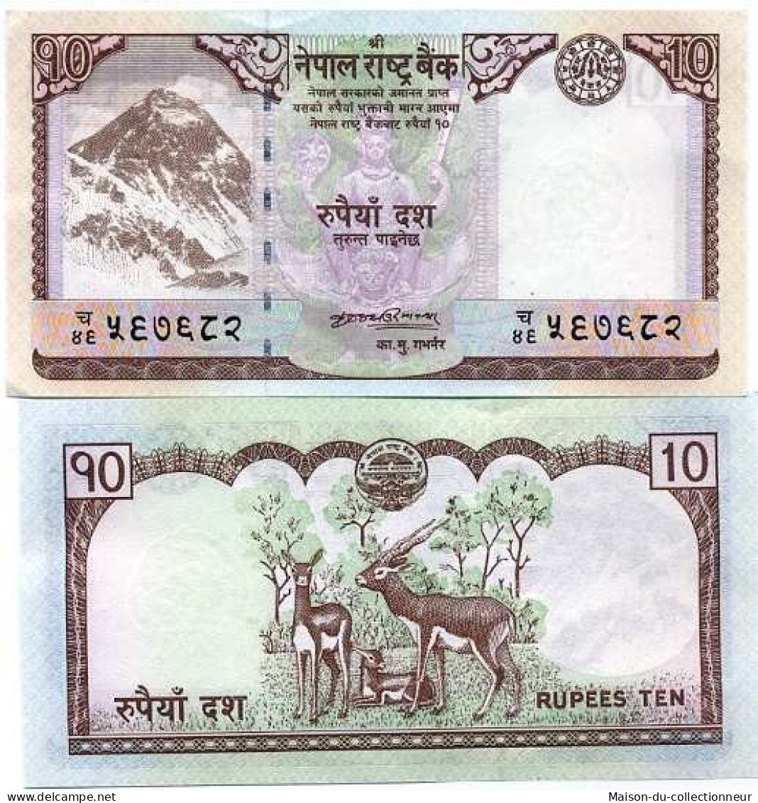 Billets De Banque Nepal Pk N° 61 - 10 Rupees - Népal