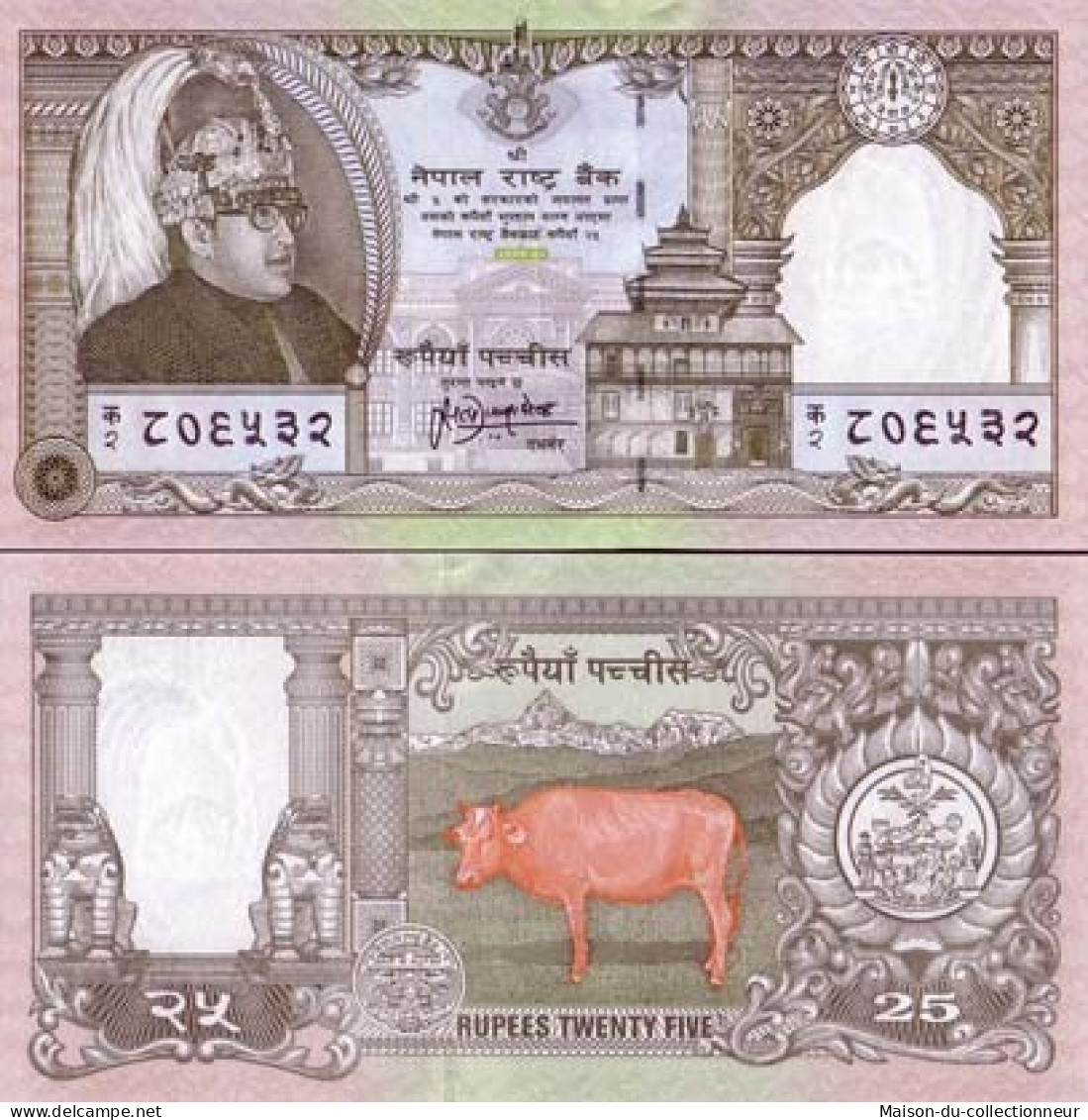 Billets De Banque Nepal Pk N° 41 - 25 Ruppee - Nepal