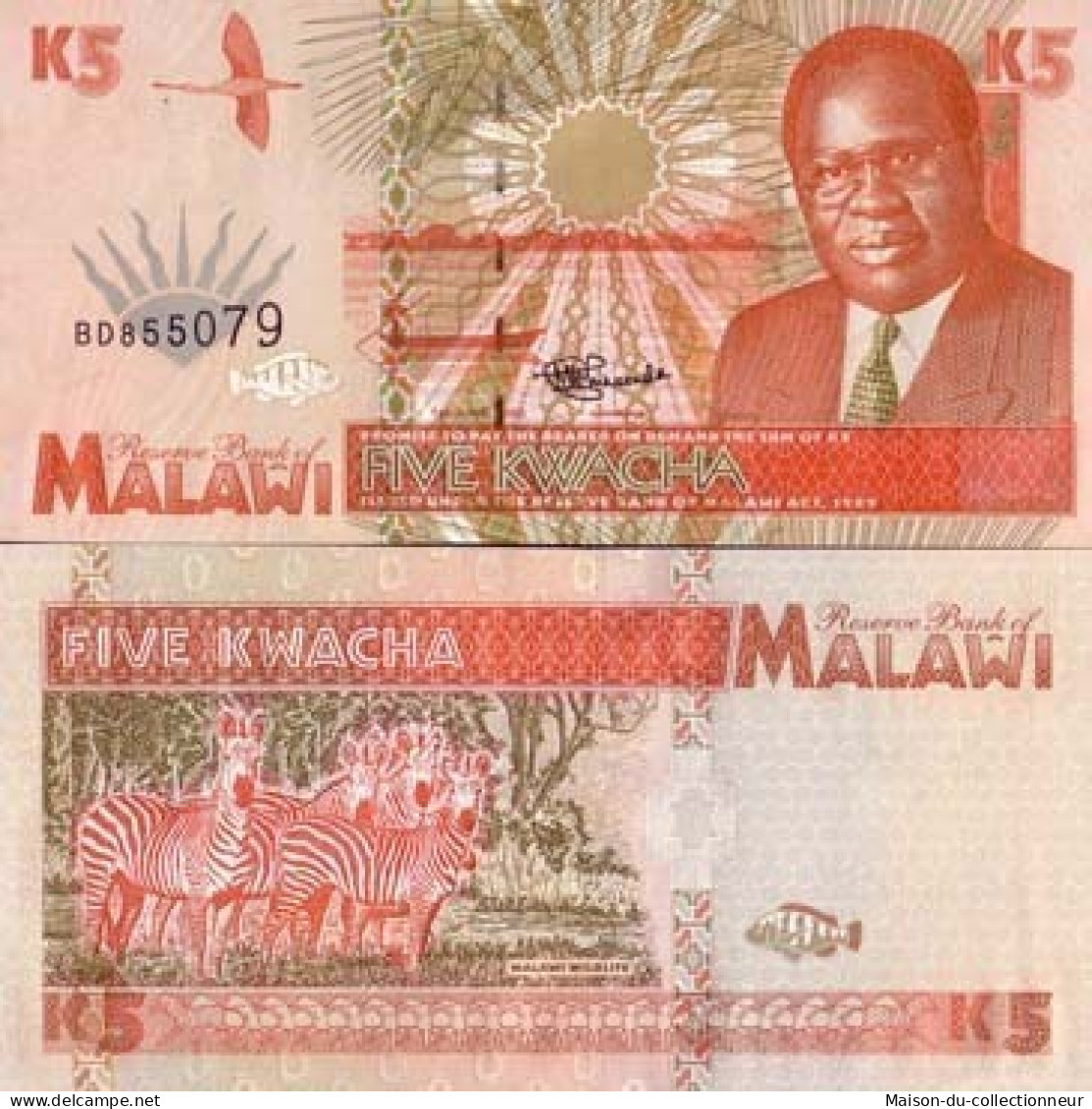 Billets Collection Malawi Pk N° 30 - 5 Kwacha - Malawi