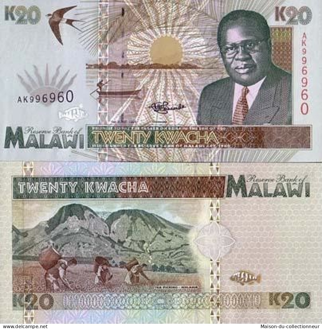 Billets Banque Malawi Pk N° 32 - 20 Kwacha - Malawi