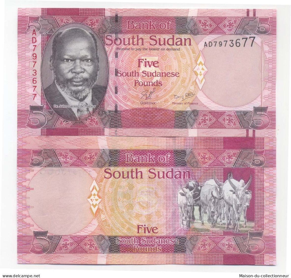 Billets De Banque Soudan Du Sud Pk N° 6 - 5 Pounds - Zuid-Soedan
