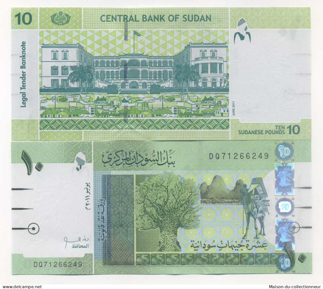 Billets De Banque Soudan Pk N° 73 - 10 Pounds - Sudan