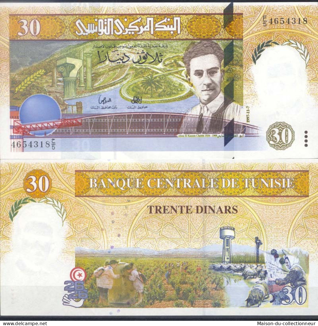 Billet De Collection Tunisie Pk N° 89 - 30 Dinar - Tunesien