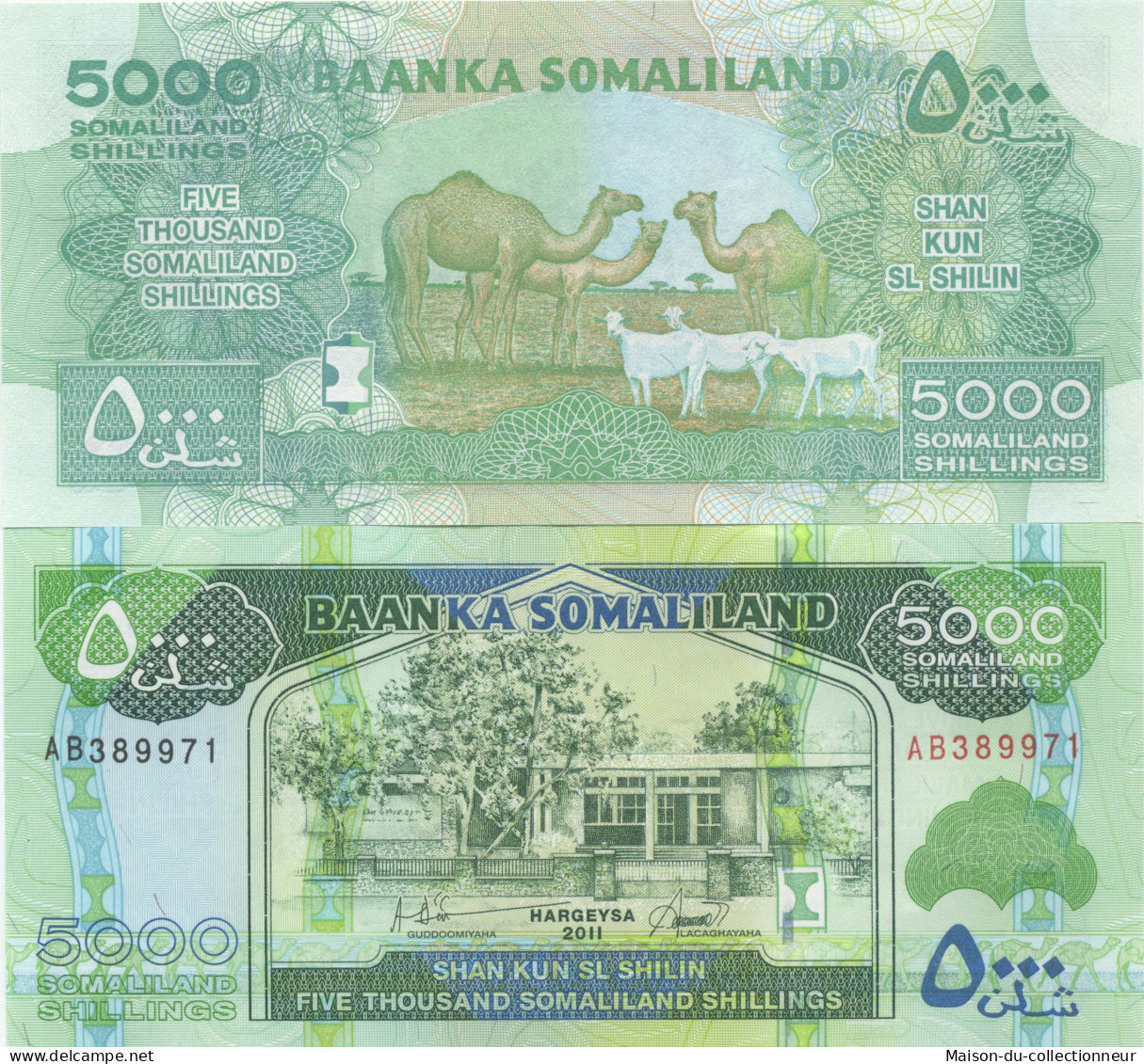 Billets Banque Somaliland Pk N° 21 - 5000 Shillings - Somalië