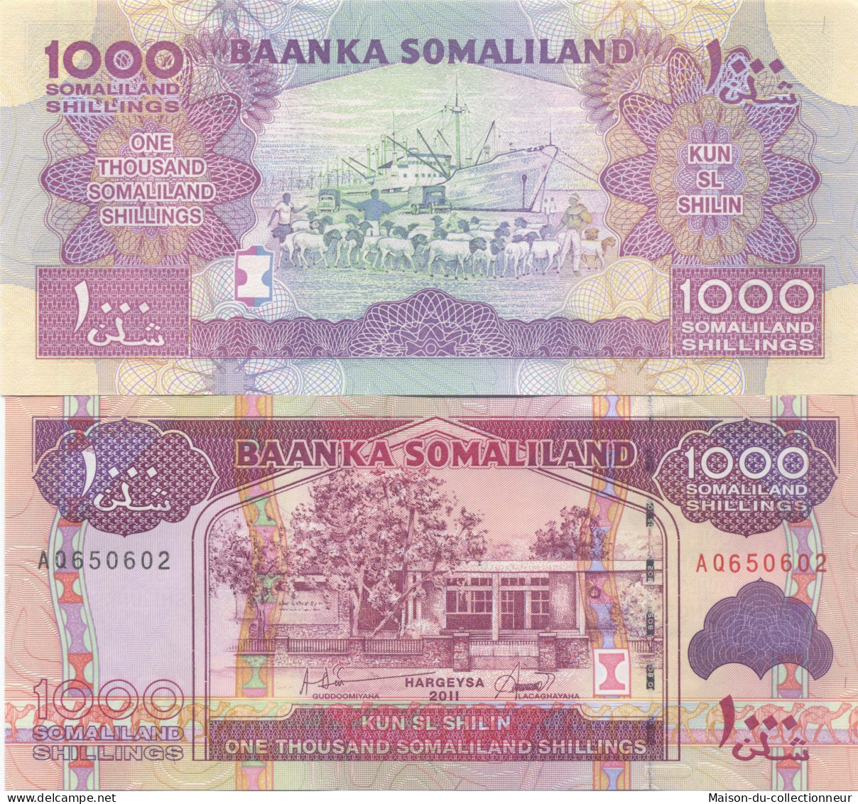 Billet De Banque Somaliland Pk N° 20 - 1000 Shillings - Somalie