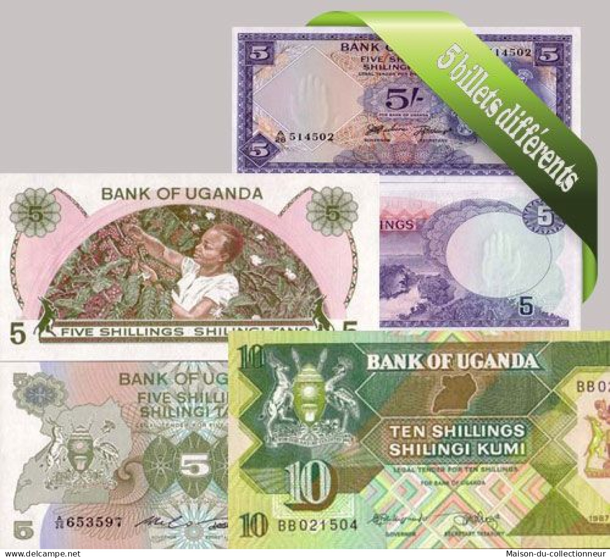 Ouganda - Collection De 5 Billets De Banque Tous Différents. - Oeganda