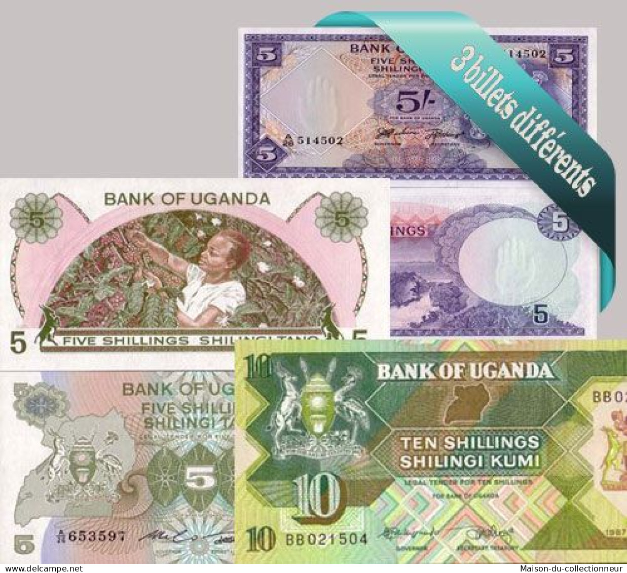 Ouganda - Collection De 3 Billets De Banque Tous Différents. - Uganda