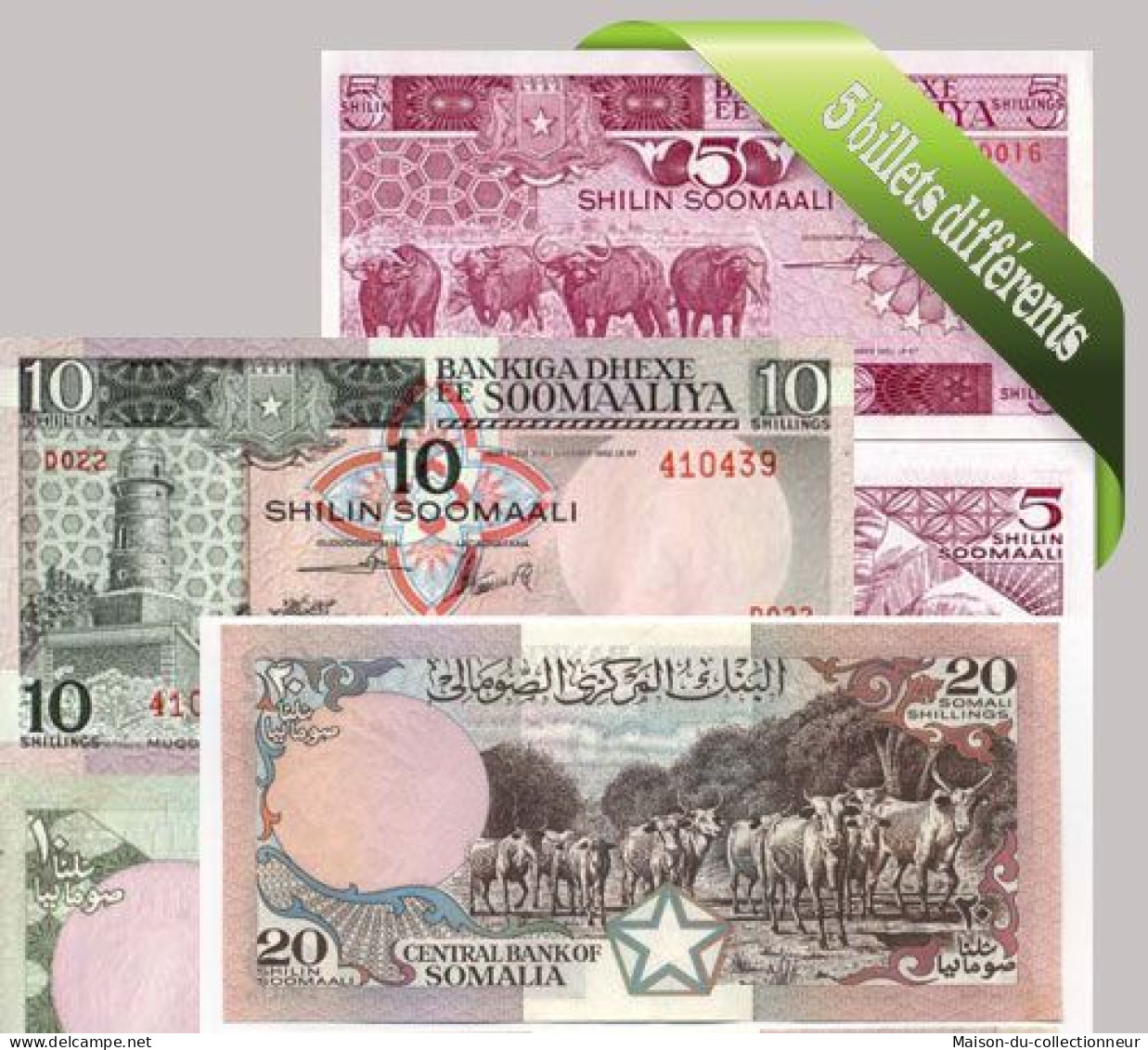 Belle Collection De 5 Billets De Banque Tous Différents De Somalie - Somalië