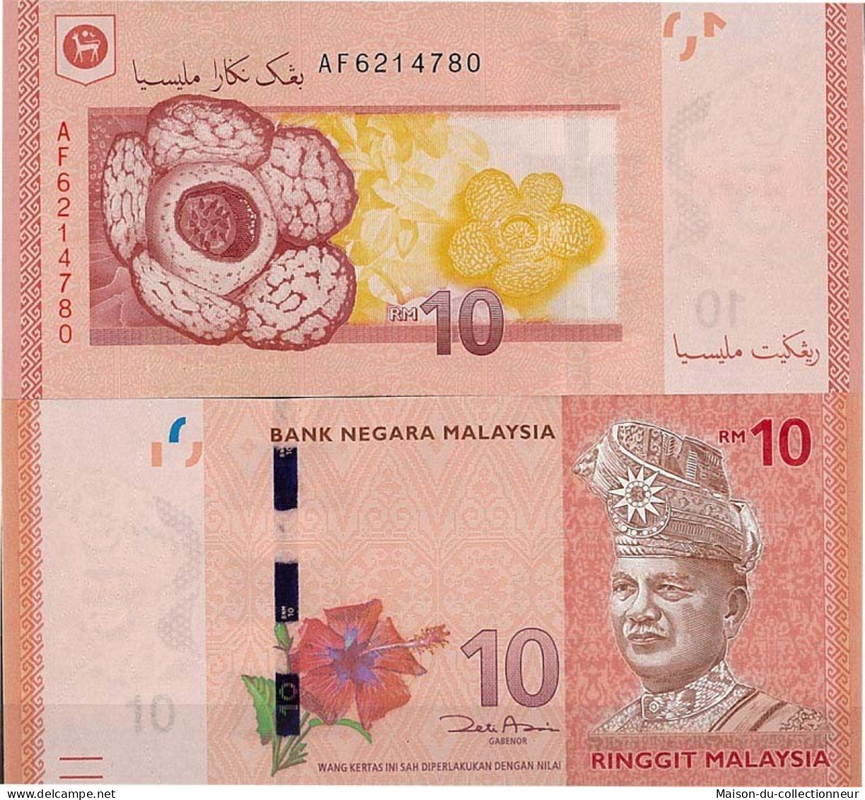 Billets De Banque Malaisie Pk N° 53 10 - 10 Ringgit - Malaysia